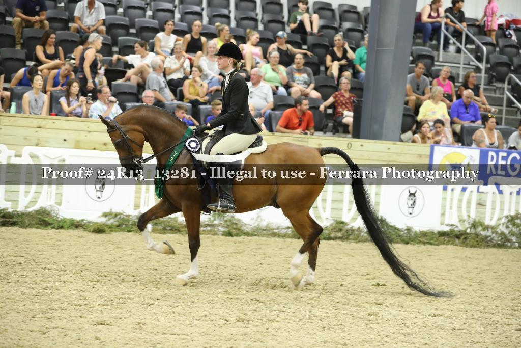 Proof 24R13_13281