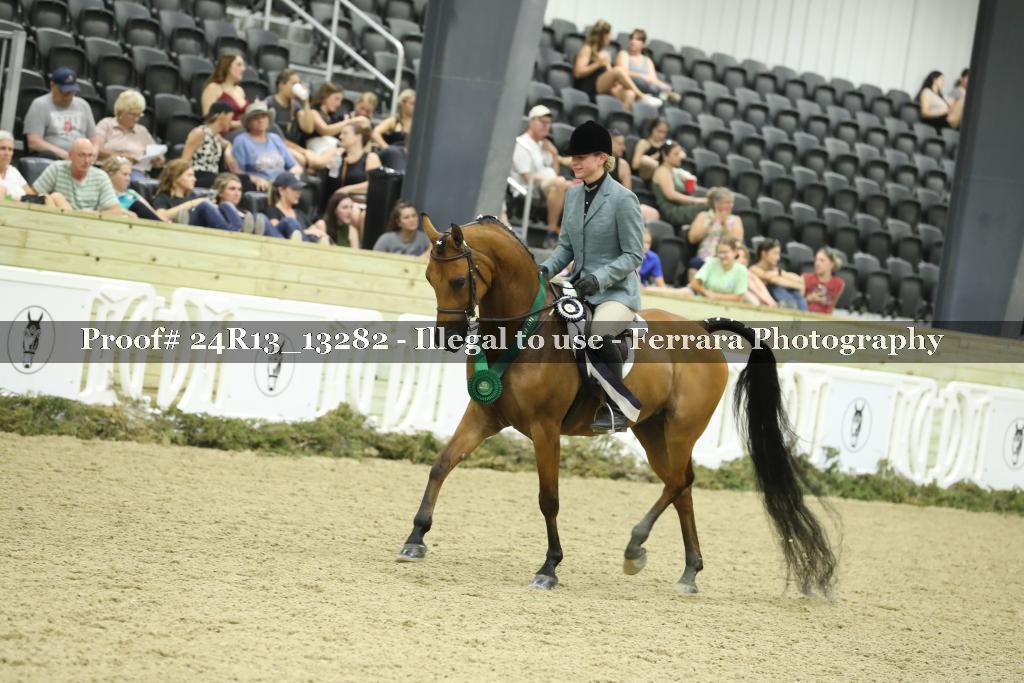 Proof 24R13_13282