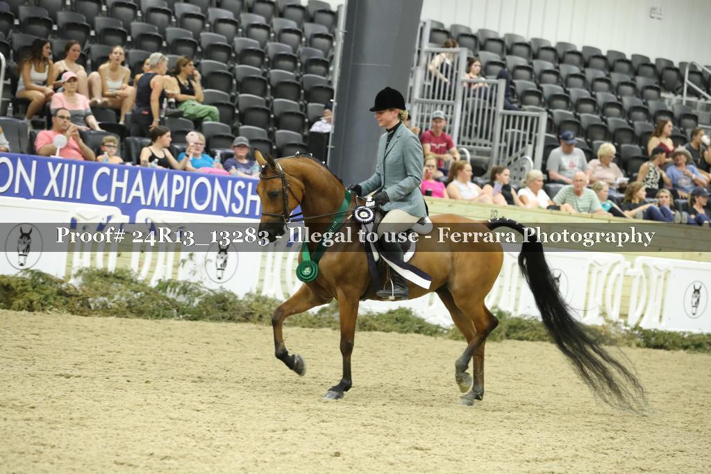 Proof 24R13_13283
