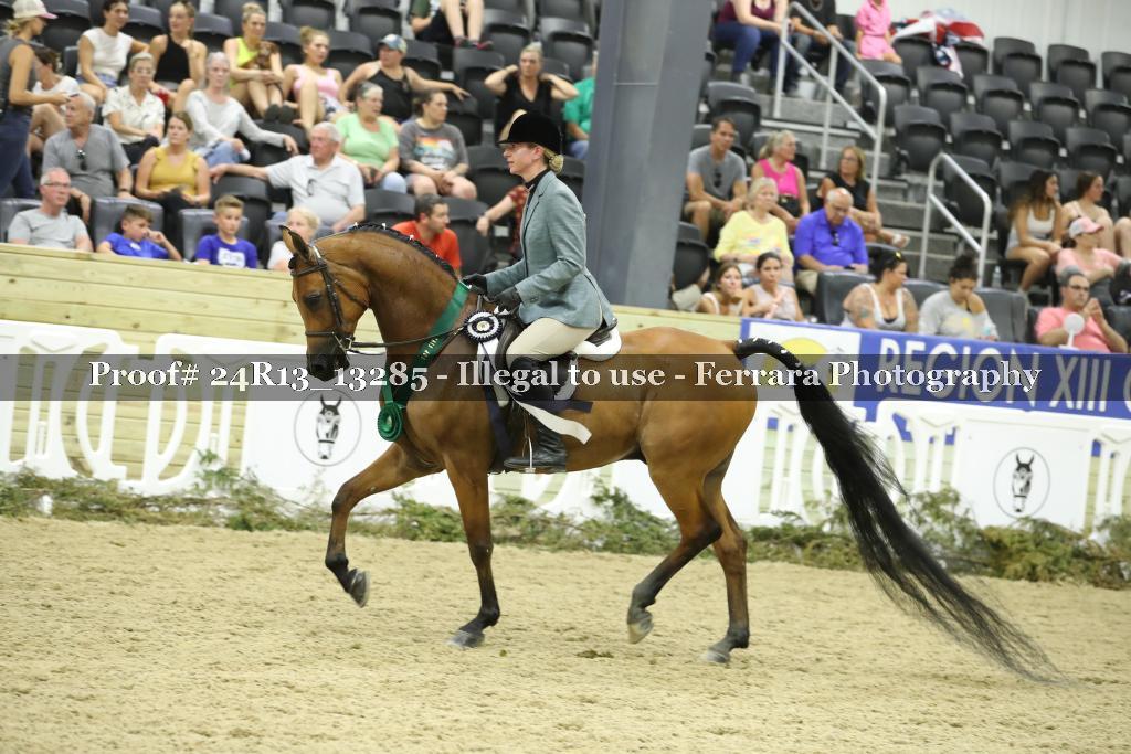 Proof 24R13_13285