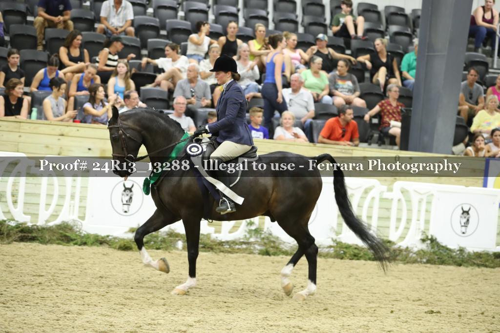 Proof 24R13_13288