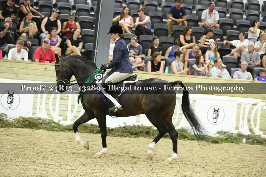 Proof 24R13_13289