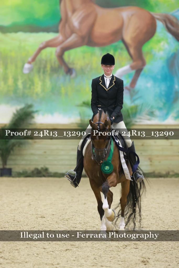 Proof 24R13_13290