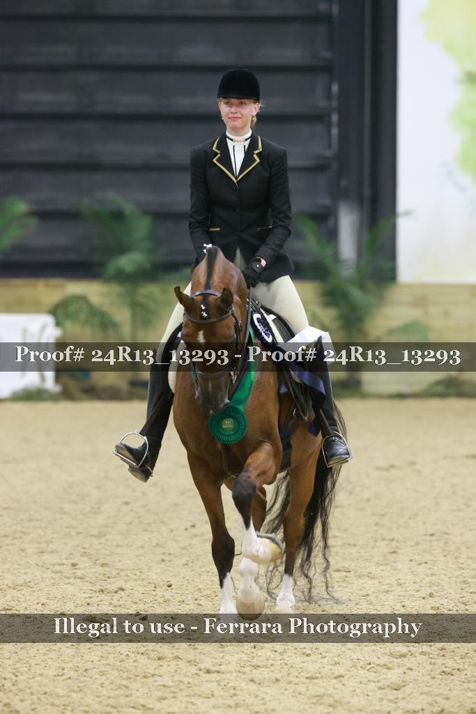 Proof 24R13_13293
