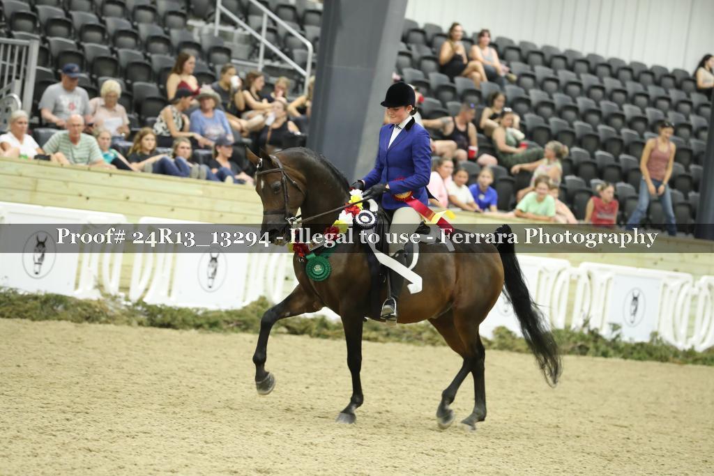 Proof 24R13_13294