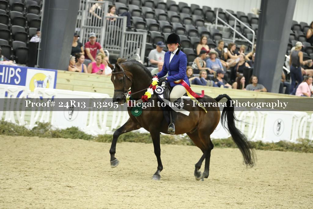 Proof 24R13_13295
