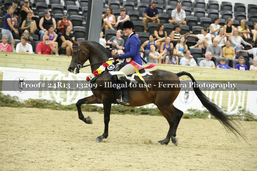 Proof 24R13_13299