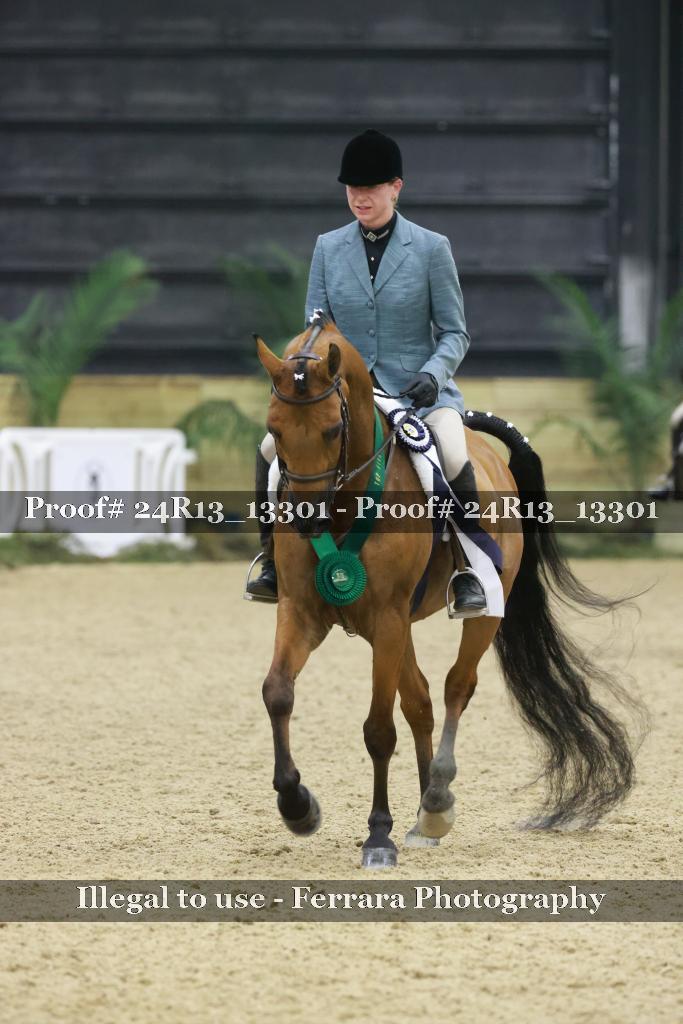 Proof 24R13_13301