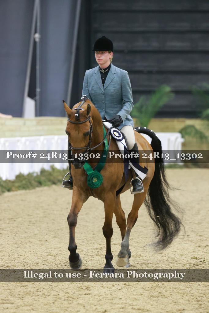 Proof 24R13_13302