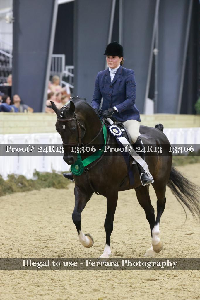 Proof 24R13_13306