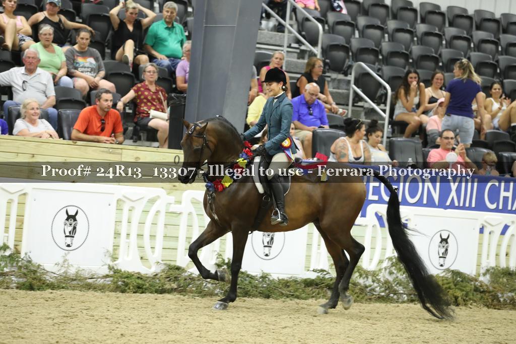 Proof 24R13_13307