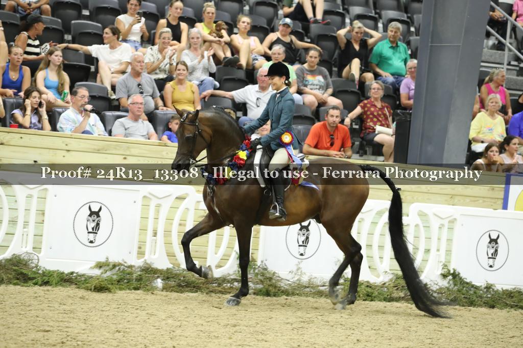 Proof 24R13_13308
