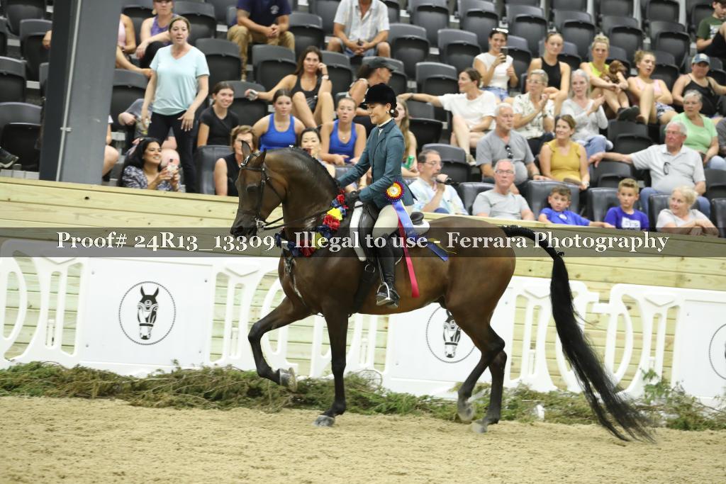 Proof 24R13_13309