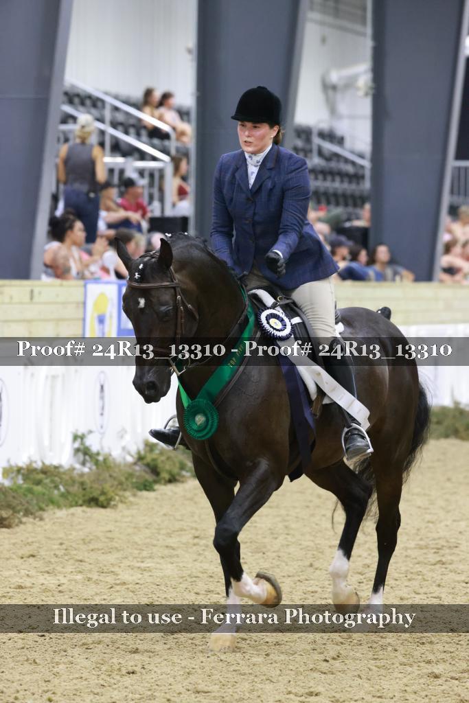Proof 24R13_13310