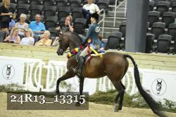 24R13_13315 proof