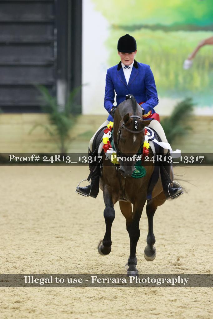 Proof 24R13_13317