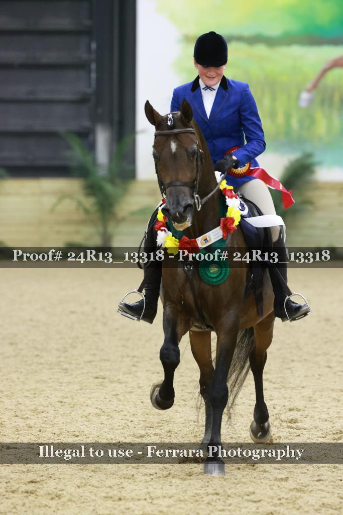 Proof 24R13_13318