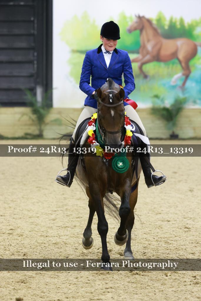 Proof 24R13_13319