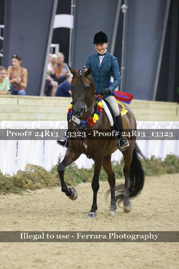 Proof 24R13_13323