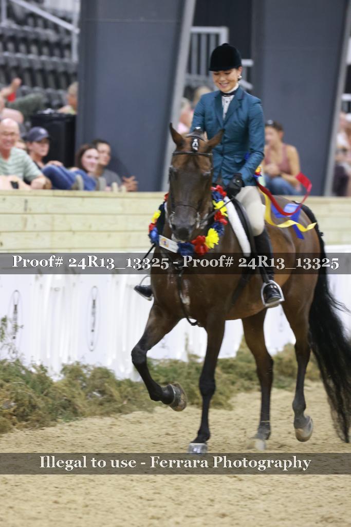 Proof 24R13_13325