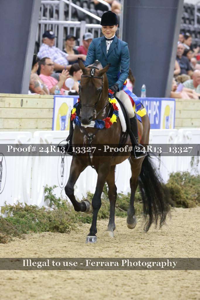 Proof 24R13_13327