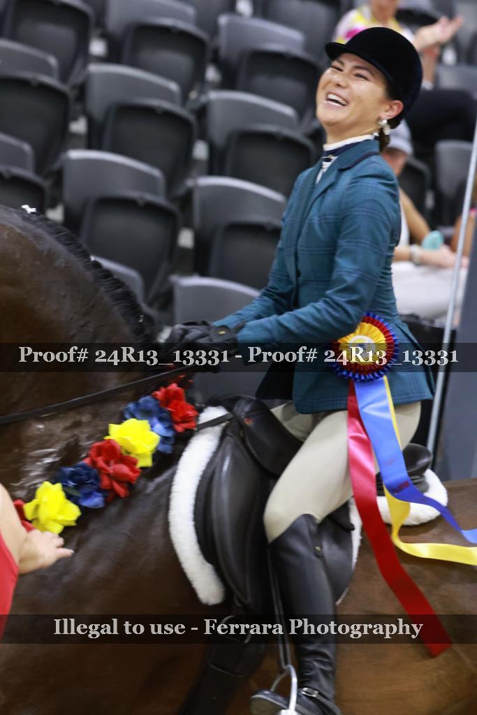 Proof 24R13_13331