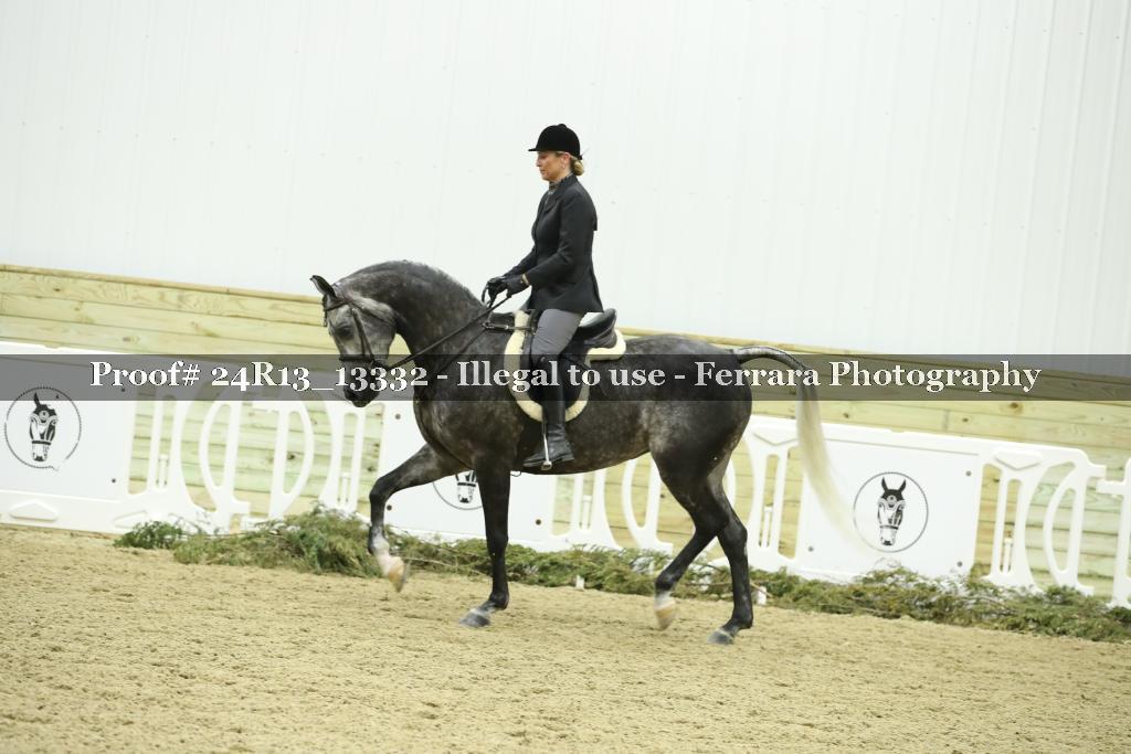 Proof 24R13_13332
