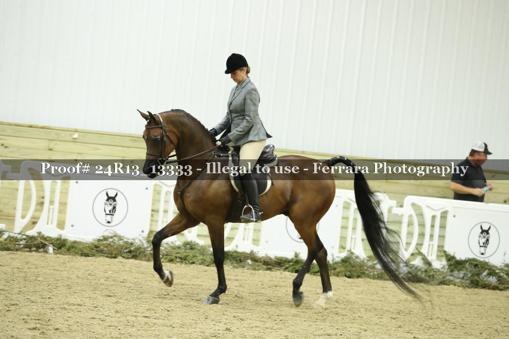 Proof 24R13_13333