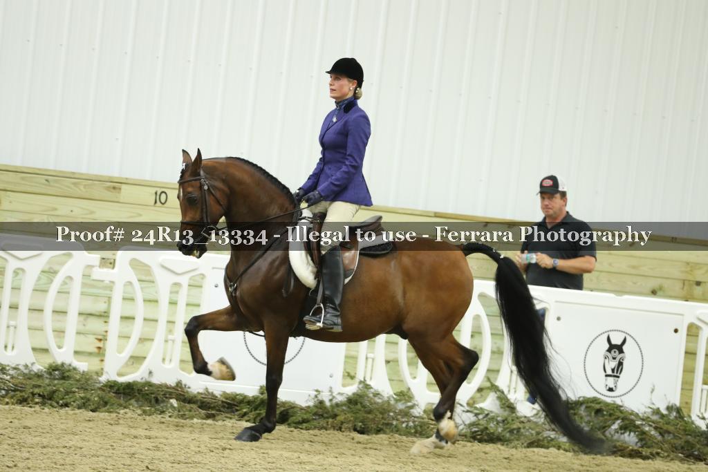 Proof 24R13_13334