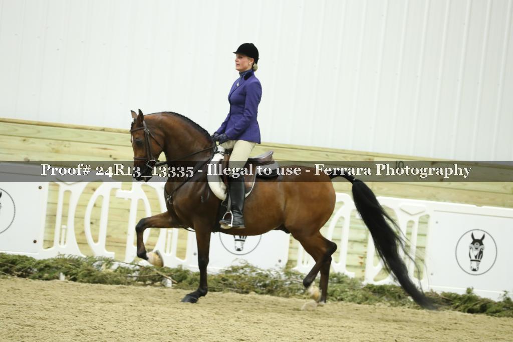 Proof 24R13_13335