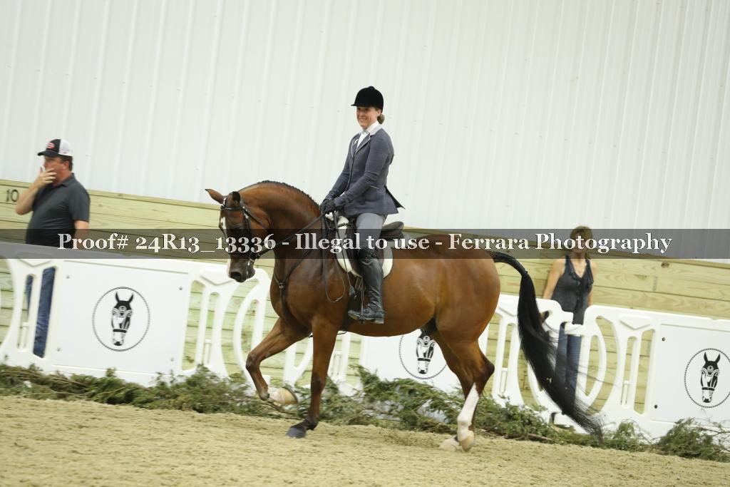 Proof 24R13_13336