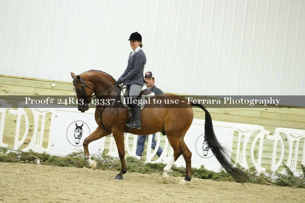 Proof 24R13_13337