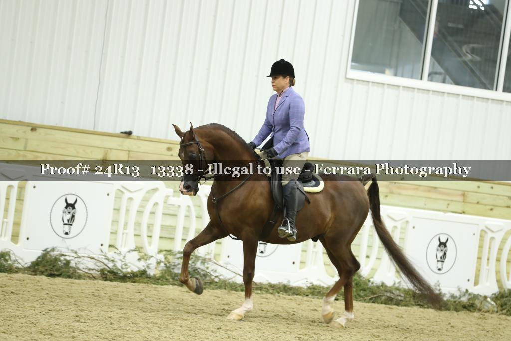 Proof 24R13_13338