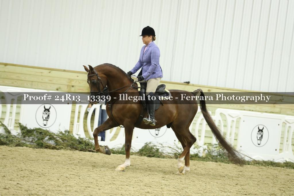 Proof 24R13_13339