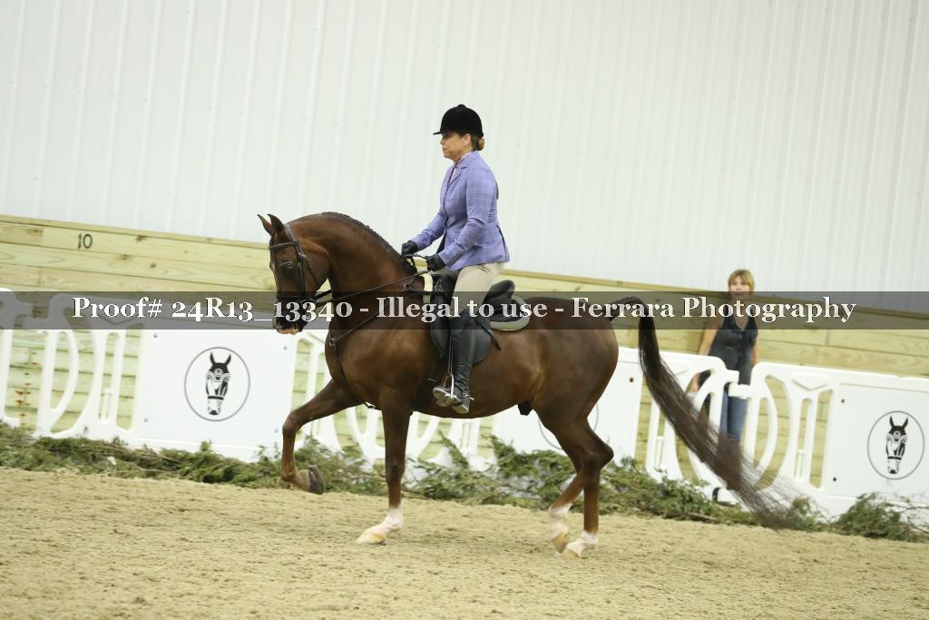 Proof 24R13_13340