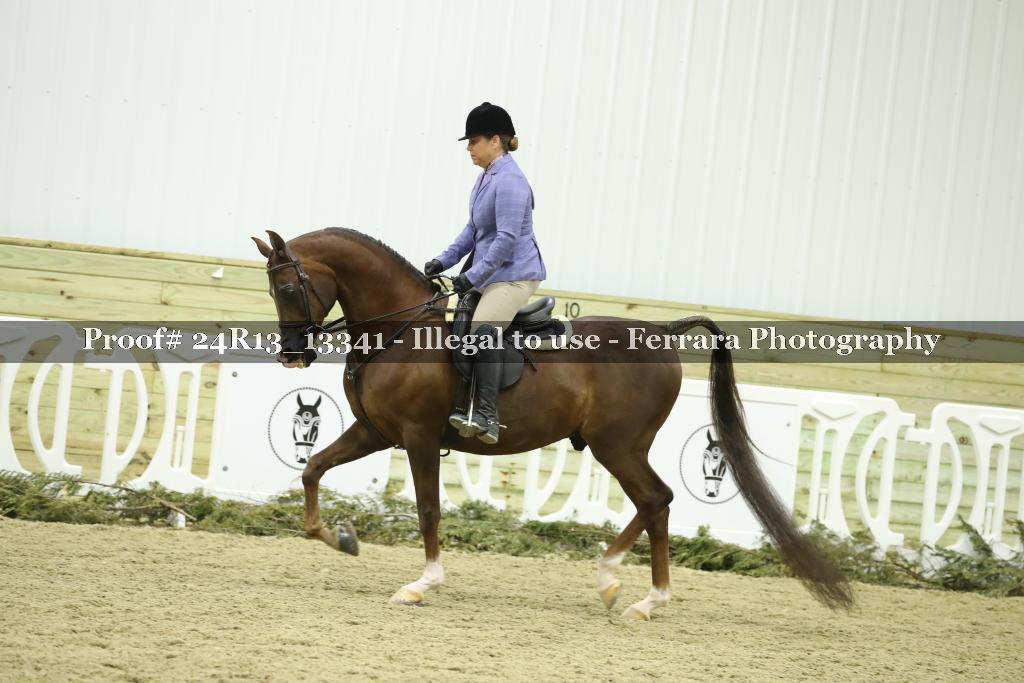 Proof 24R13_13341