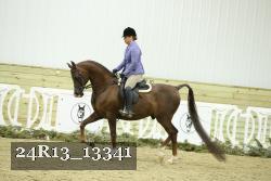 24R13_13341 proof