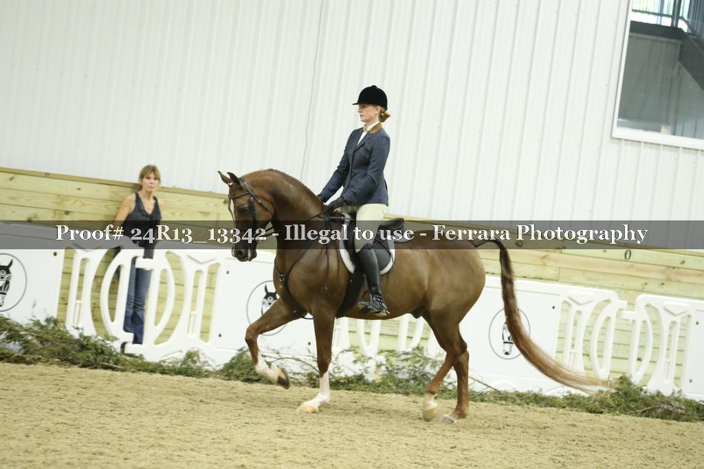 Proof 24R13_13342