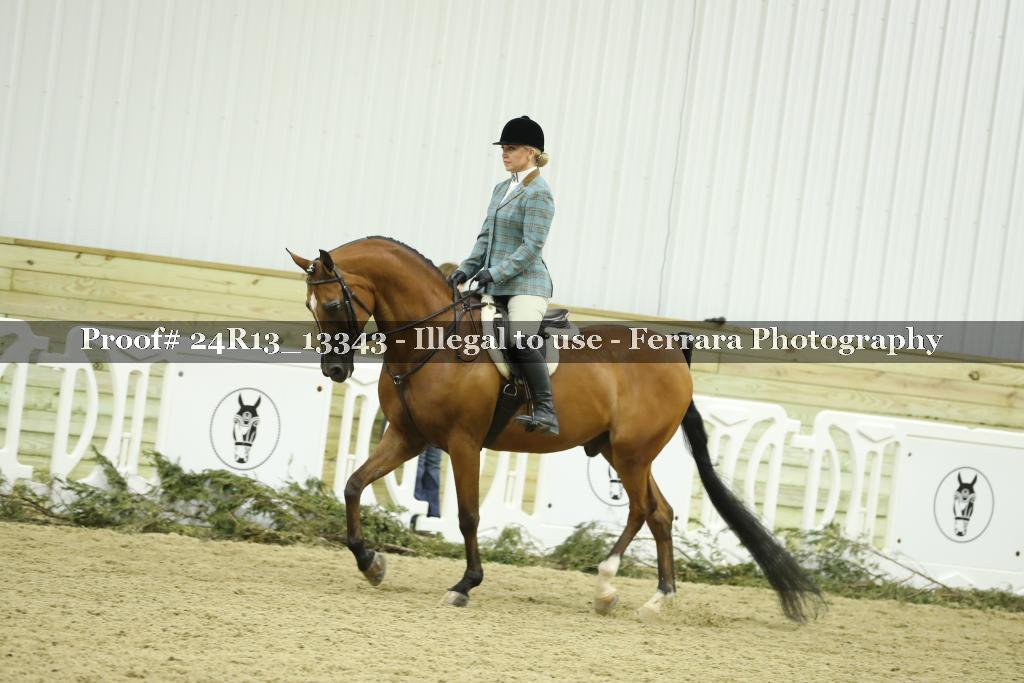 Proof 24R13_13343