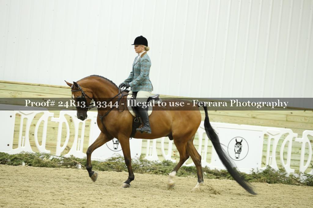 Proof 24R13_13344