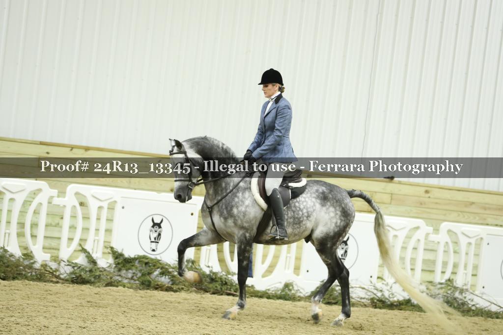 Proof 24R13_13345