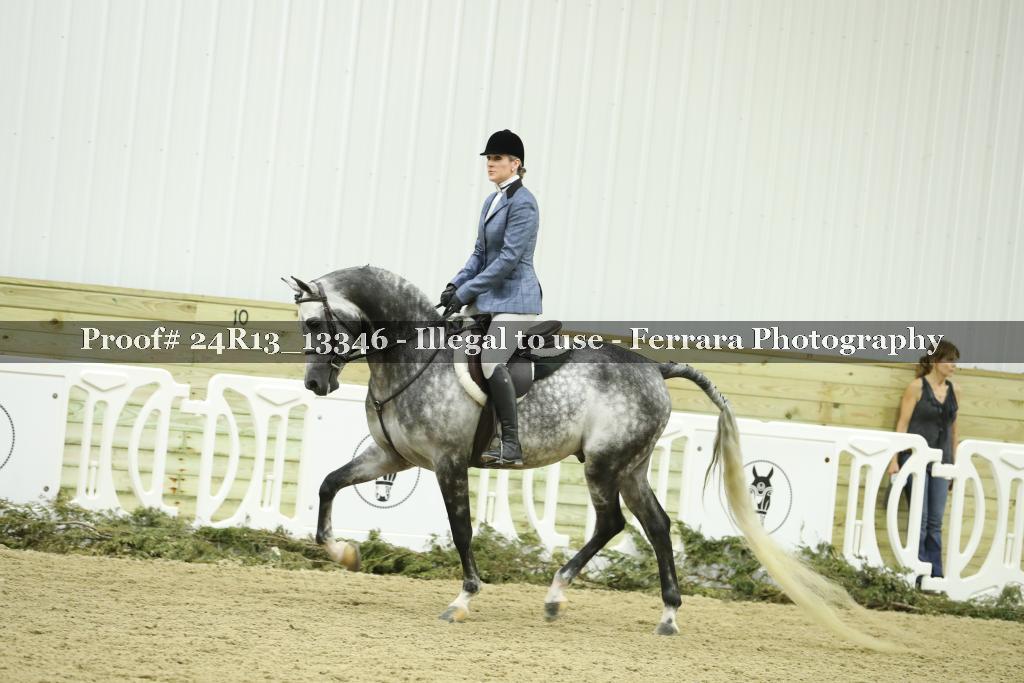 Proof 24R13_13346