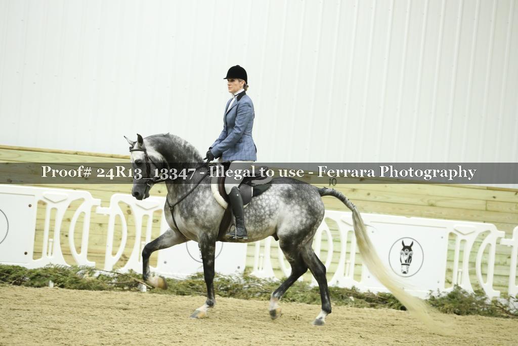 Proof 24R13_13347