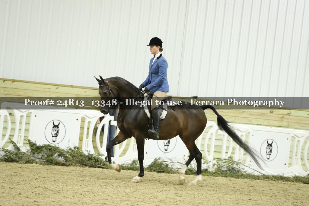 Proof 24R13_13348