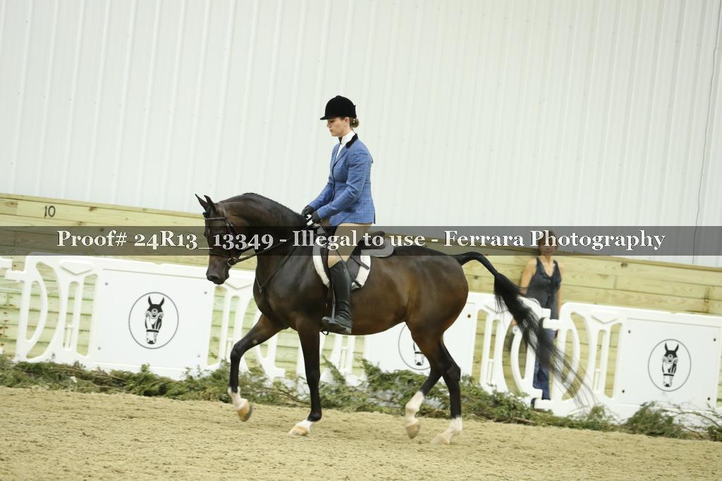 Proof 24R13_13349