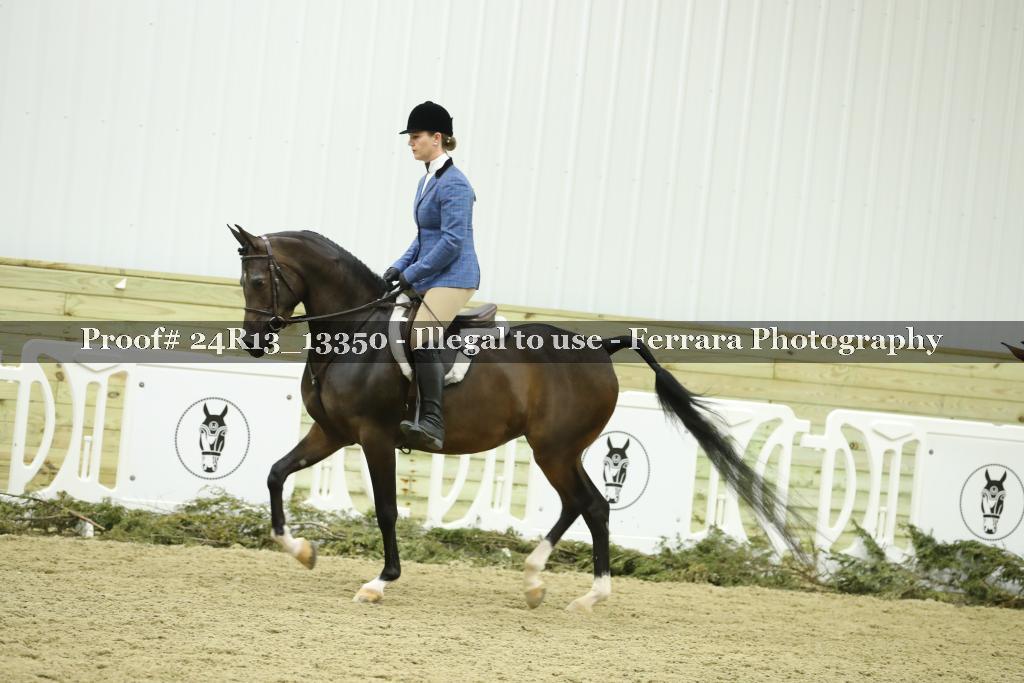 Proof 24R13_13350