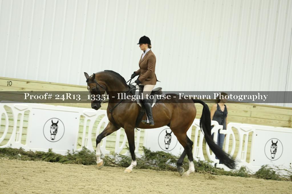 Proof 24R13_13351