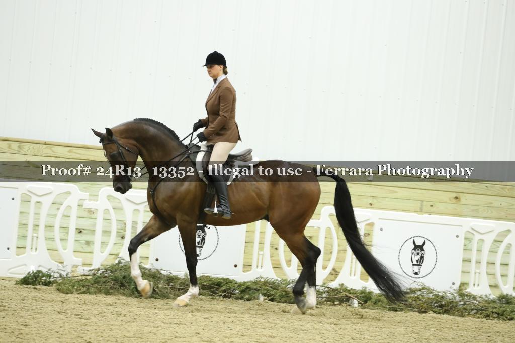 Proof 24R13_13352