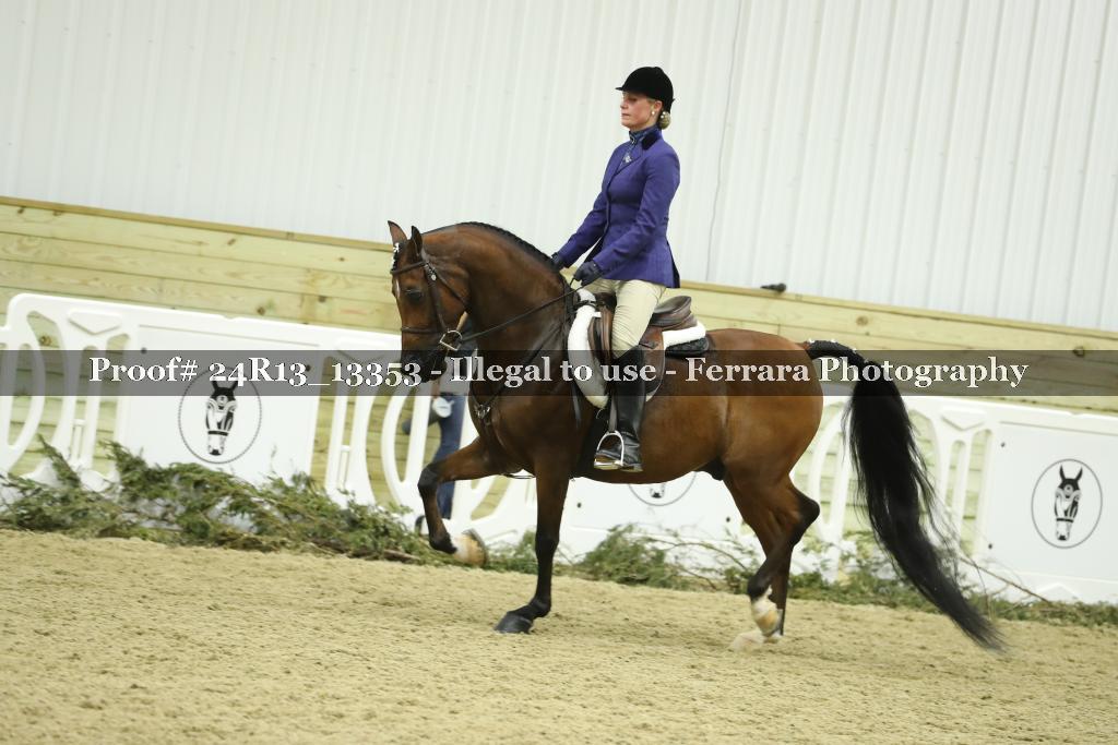Proof 24R13_13353