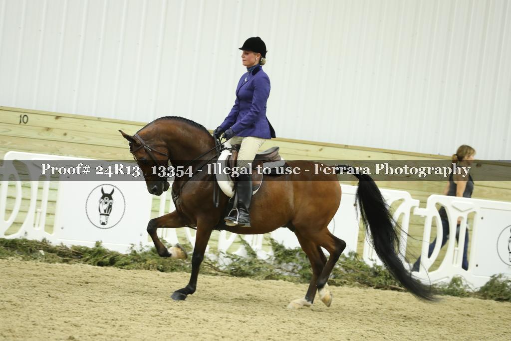 Proof 24R13_13354